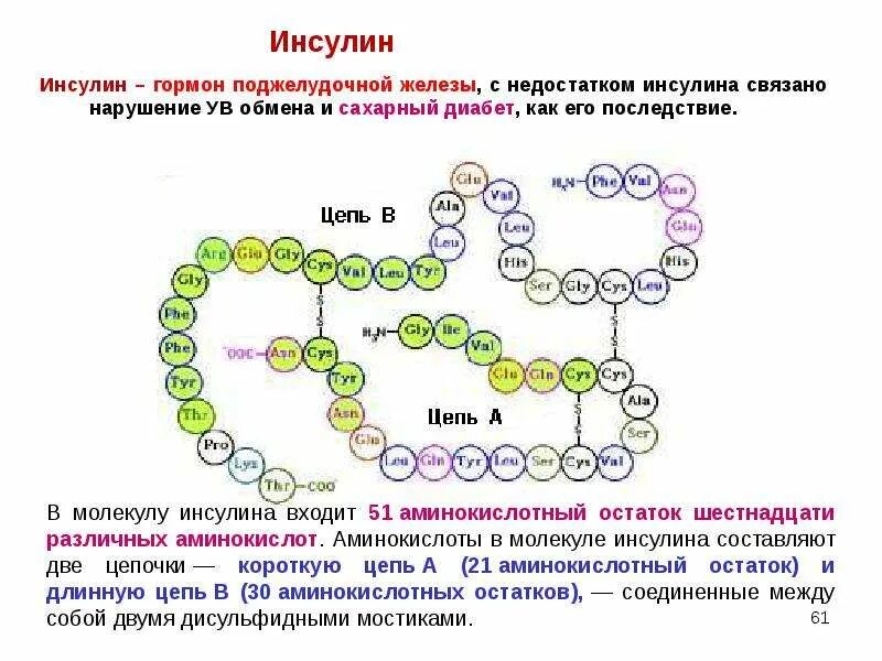 Гормон элементы. Инсулин химическая структура формула. инсулин гормон строение. гормон инсулин структура. химическое строение гормона инсулина.