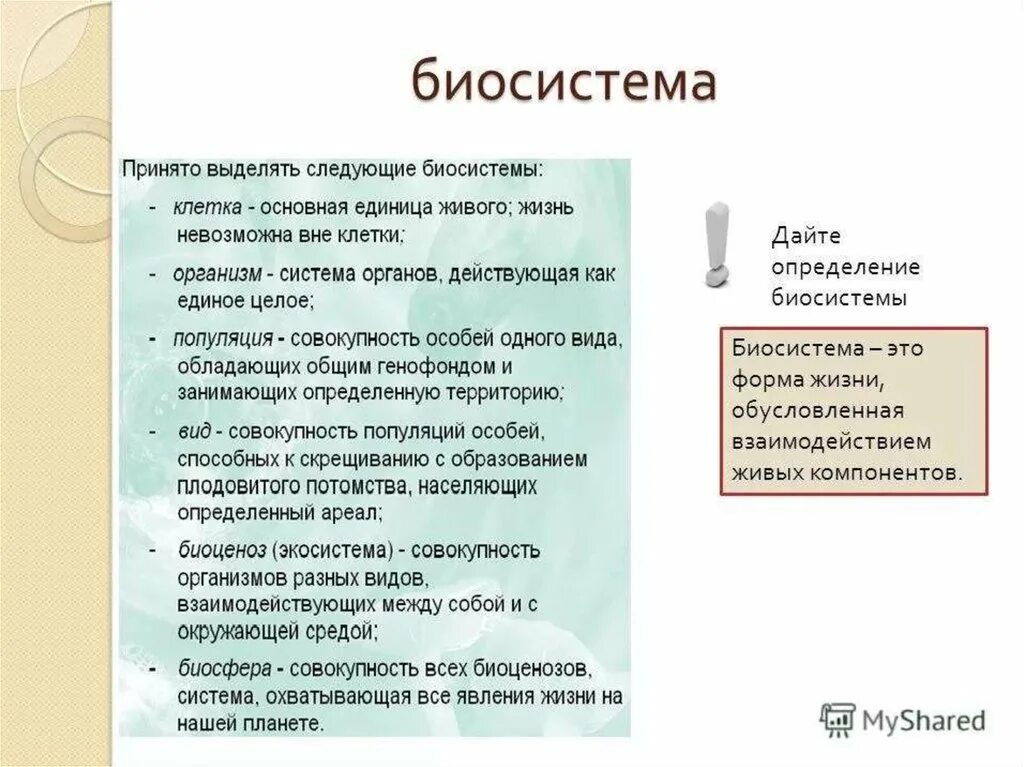 Примеры биосистем. Биосистема организм. Биологические системы примеры. Понятие открытой биосистемы.