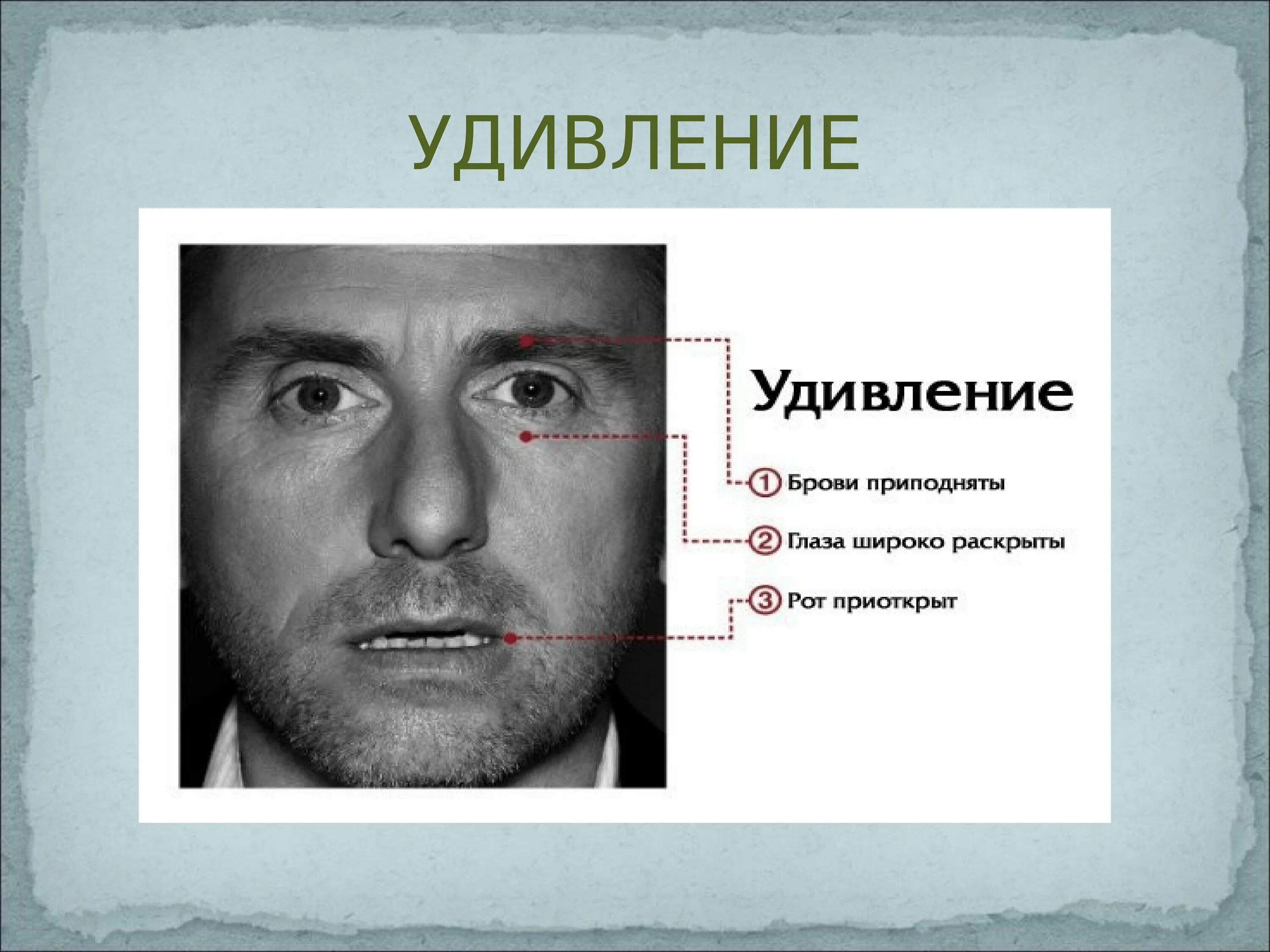 Код в мимике. Мимические проявления эмоций. распознавание эмоций по выражению лица. проявление эмоций в мимике. невербальное выражение эмоций.