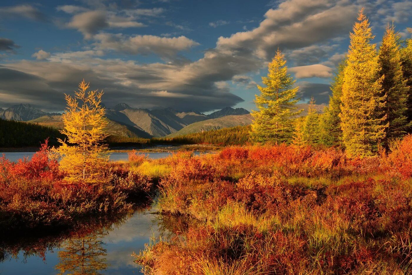 Nature of russia. Озеро Джека Лондона Магаданская область. Озеро танцующих хариусов Магаданская область. Танцующий хариус озеро. Колыма озеро Джека Лондона.