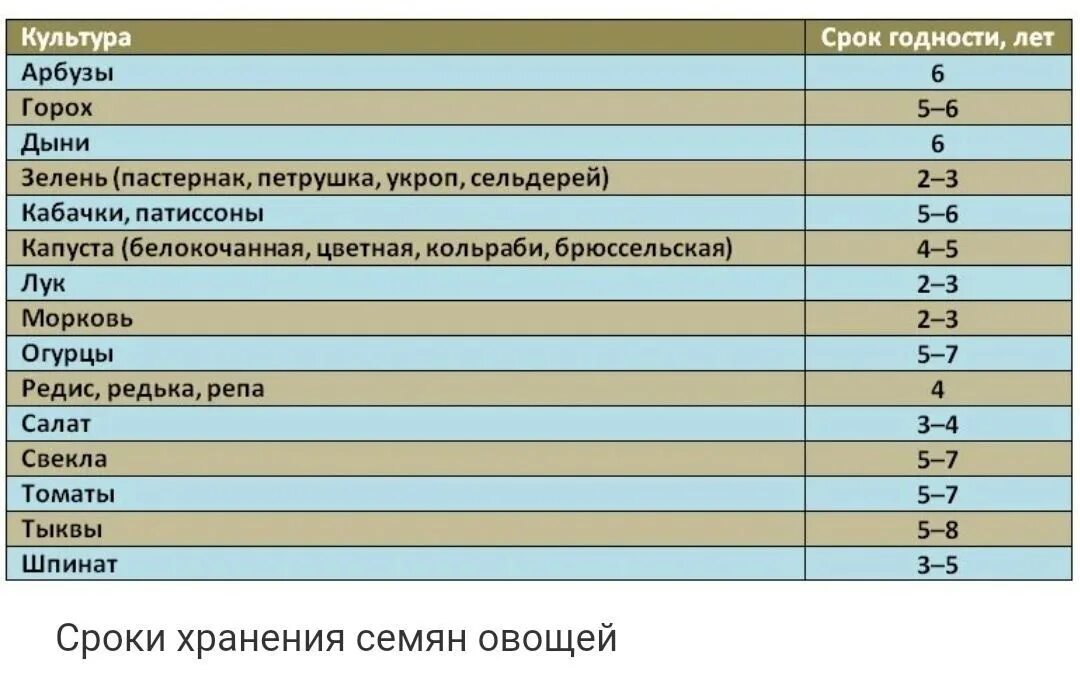 Температура в цветочном холодильнике. Срок годности овощных семян таблица. Сроки годности цветочных семян. Сроки годности семян овощей и цветов таблица. Срок годности семян овощей таблица.