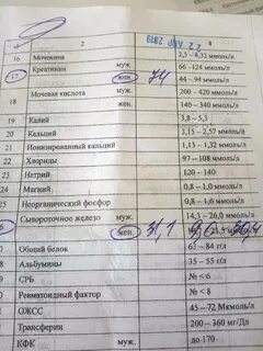 Билирубин 23