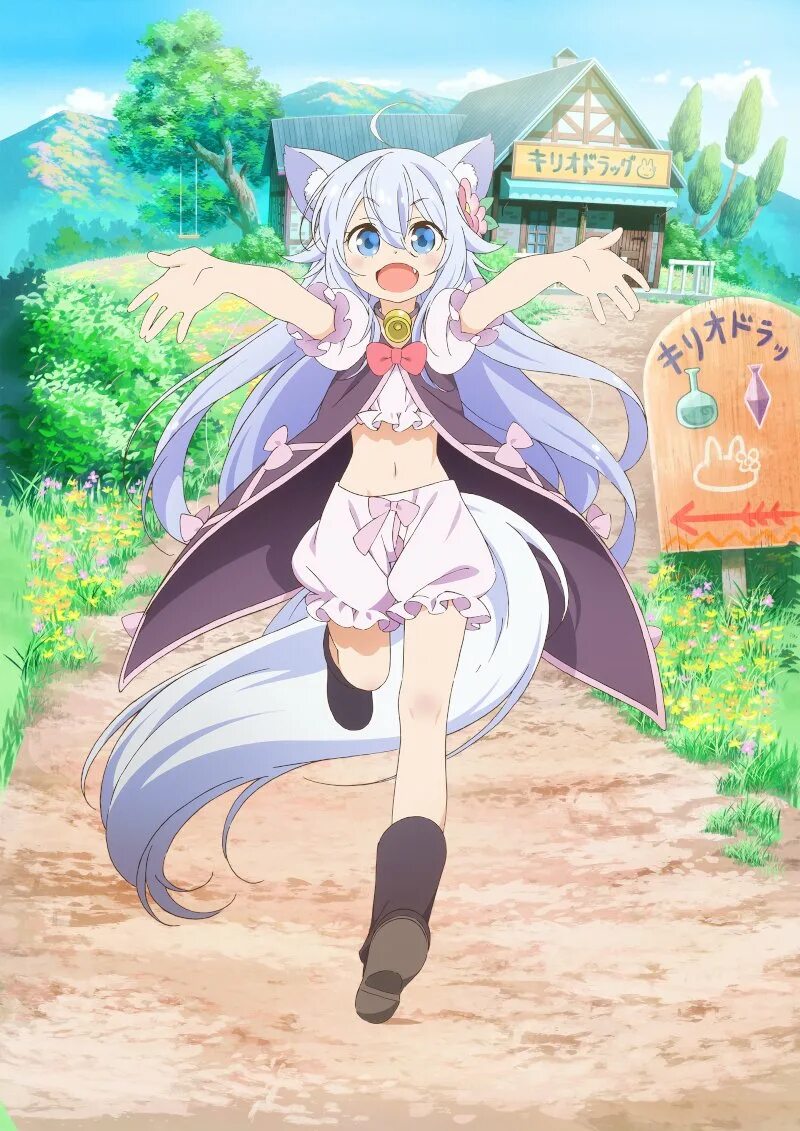 Isekai ni tsukurou drugstore. Медленная жизнь чит фармацевта. Манга фармацевт. Cheat kusushi no slow life: isekai ni tsukurou drugstore аниме. Медленная жизнь чит-фармацевта создание аптеки в альтернативном мире.