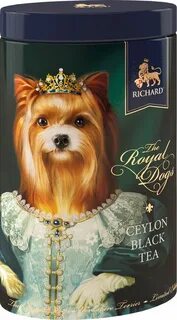Royal dog