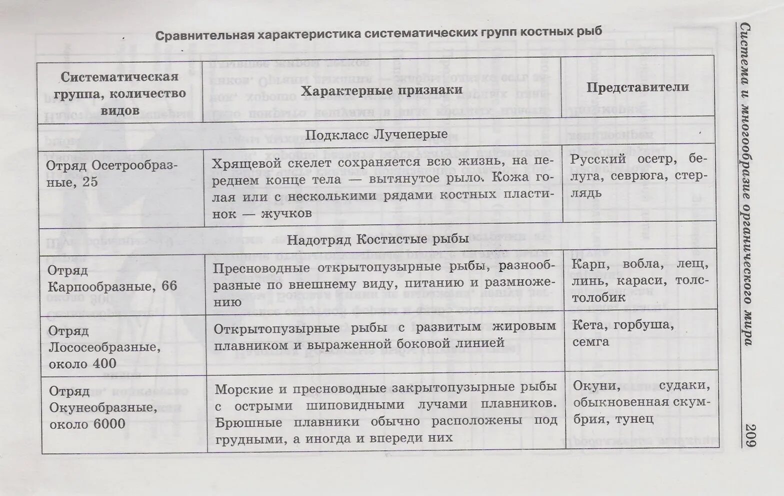 Характеристика классов рыб таблица. Группы костных рыб таблица 7 класс биология. Основные отряды костных рыб таблица. Таблица рыбы отряд признаки представители. Отряды рыб таблица 7 класс биология костных рыб.