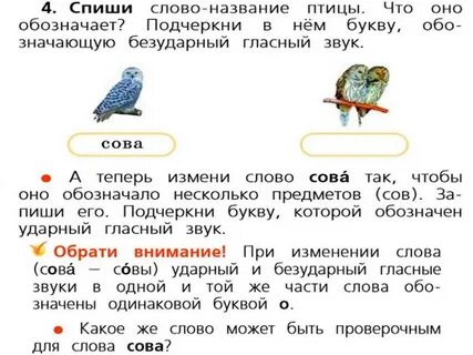 Запиши несколько слов названий
