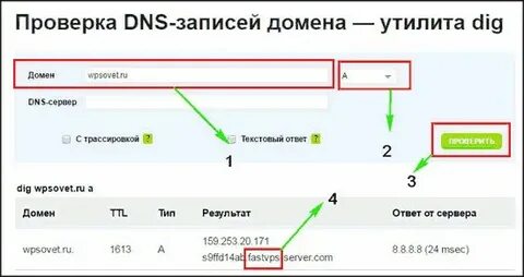 Статус проверки dns
