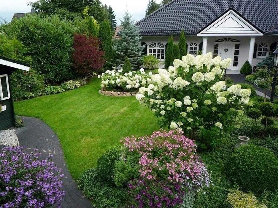 Хвойники барбарис спирея. Посадка кустарников на участке. Посадка деревьев и кустарников на участке. Лесной миксбордер. Миксбордер туя барбарис.