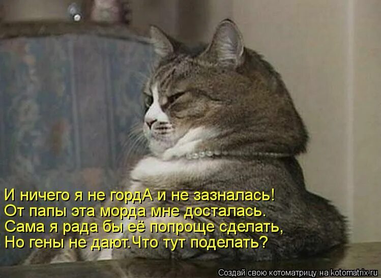 Никогда прикол. Анекдоты о котах смешные с иллюстрациями. Городской теперь я текст. Сергей беликов деревня. Muzon-muzon ноты.