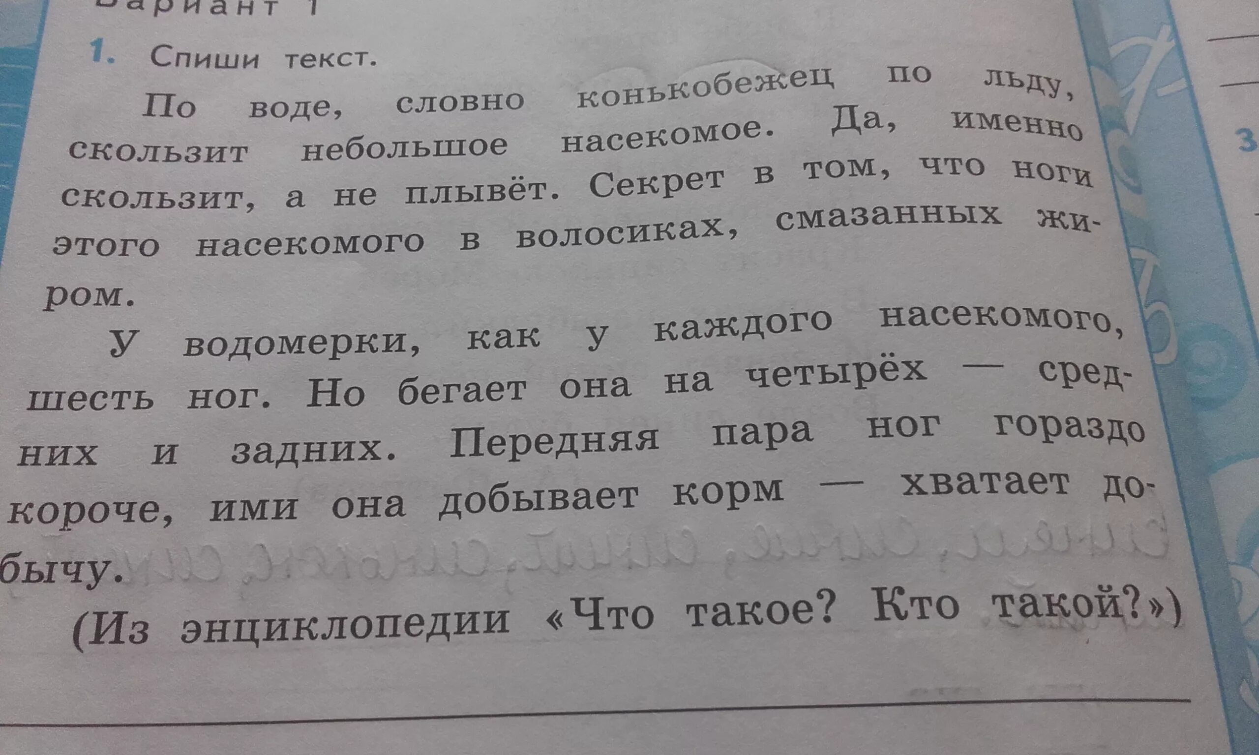 Выпиши однокоренные слова. Выпиши из текста однокоренные слова. Выписать из текста родственные. Выписать из текста родственные слова.