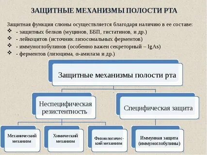 Защитная функция ротовой полости