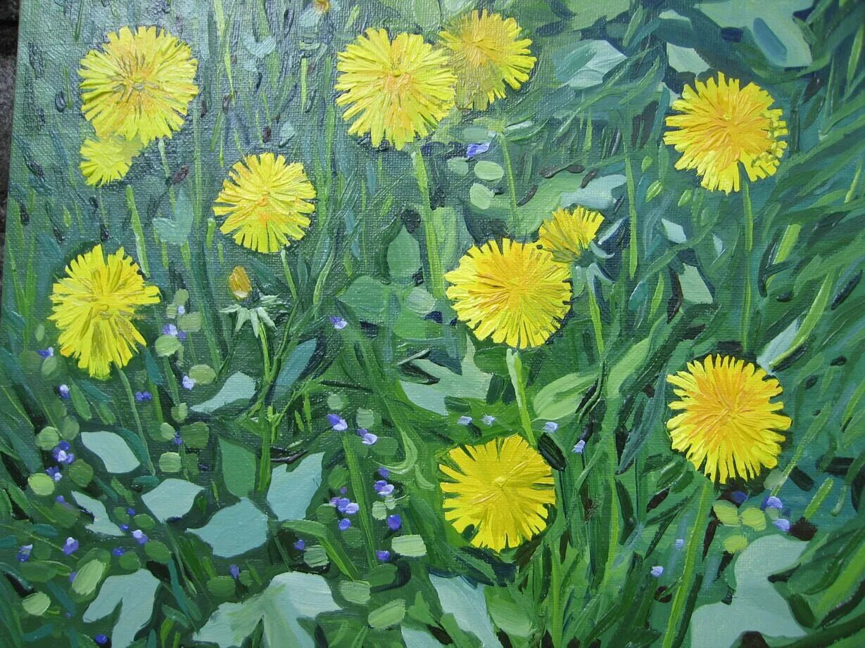 Одуванчики картина для детей средней группы. Весенние цветы гуашью. Одуванчики акрилом. Одуванчики картины художников. Картина одуванчики гербова.