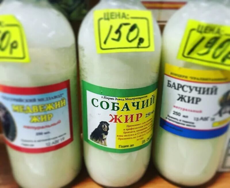 Собачий жир. Собачий жир аптечный. Собачий жир бутылка. Собачий жир в аптеке продается?. Купить жир собаки