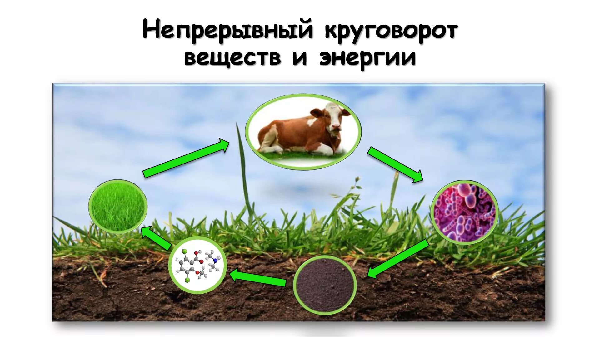 Круговорота веществ 3 класс. Модель демонстрирующая круговорот веществ в природе. Модель круговорота веществ в природе 3 класс окружающий. Окружающий мир модель круговорота веществ. Схема круговорота веществ.