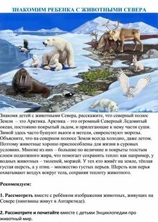Консультация северная