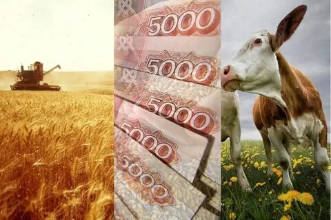 Мсх кредитование