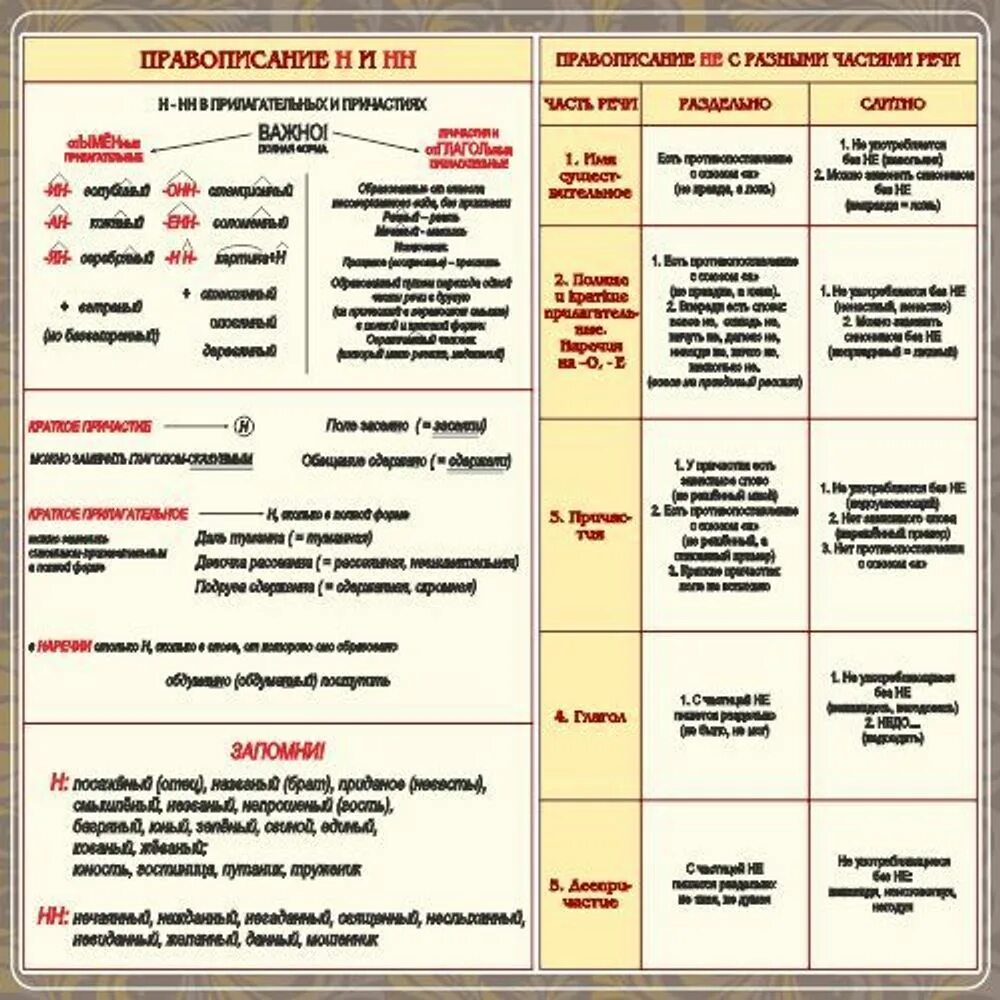 Одна и две н в предложении. Правописание н и нн. правило правописания н и нн. н и нн в разных частях речи. одна и две буквы н в разных частях речи.