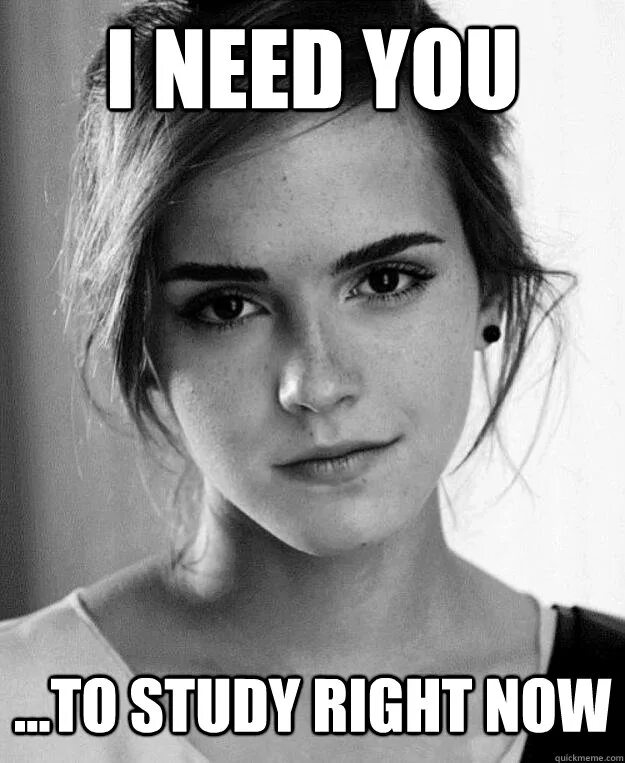 Are you studying now. Chilets. You should. мотивирующие картинки для учебы. Study motivation quotes.