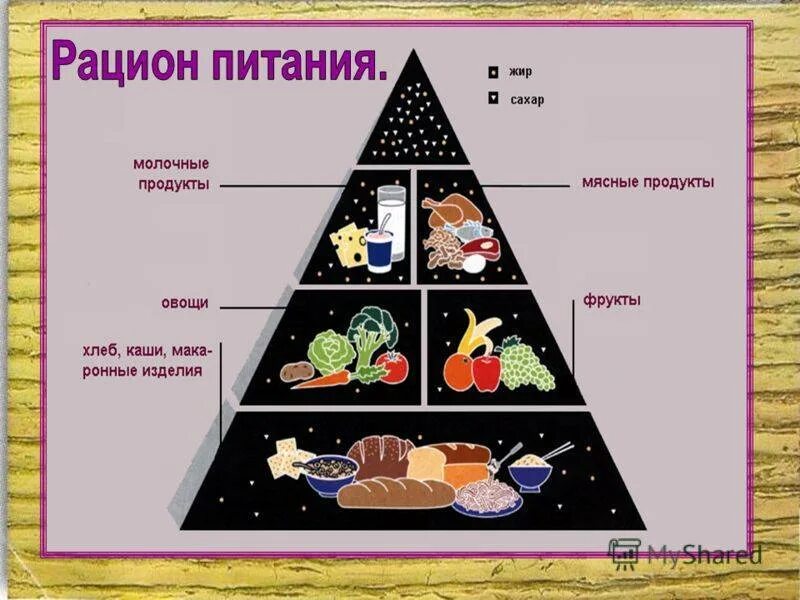 Питание три возраста. Рацион питания. Рацион здорового питания. Рациональное правильное питание на день. Правильный рацион схема.