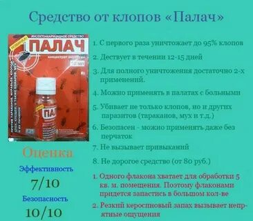 От клопов средства в квартире самостоятельно эффективные