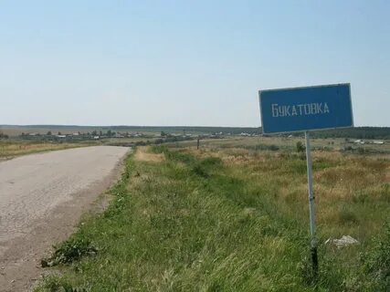 Ельшанка камышинский