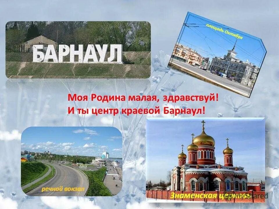 Положение г барнаула. Положение г барнаула