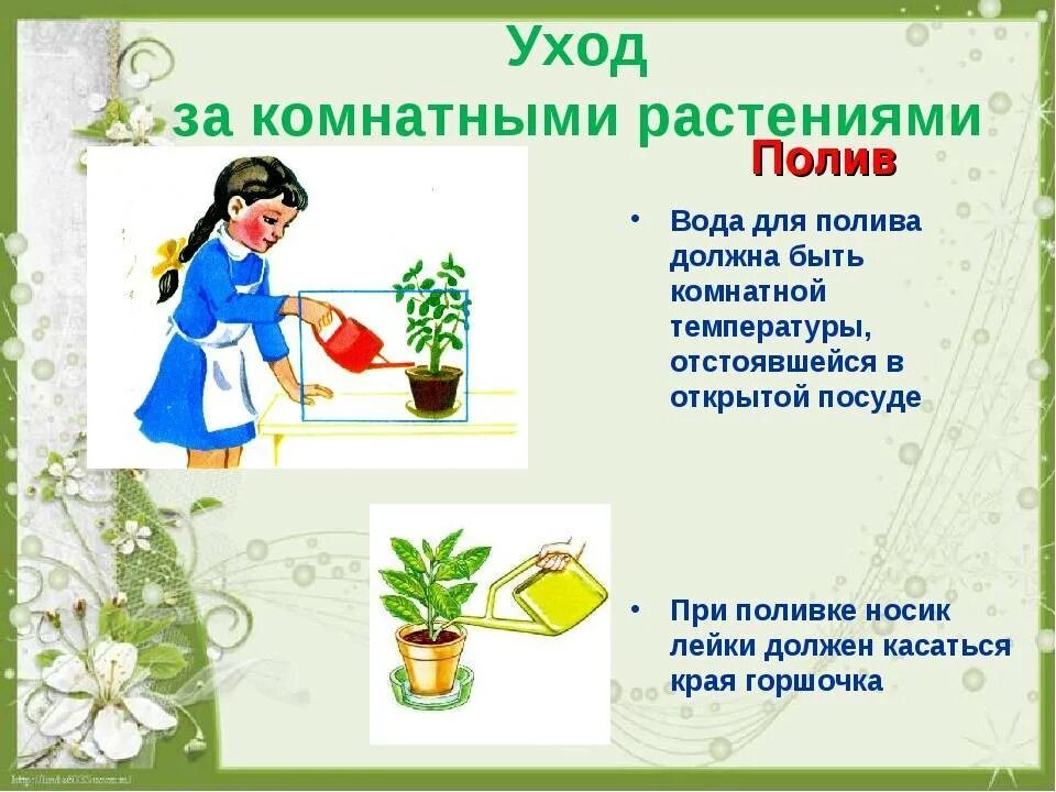 Рассказ про комнатные растения