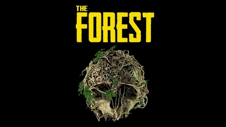 The forest дата. The forest обложка. the forest плакат. the forest постер игра.