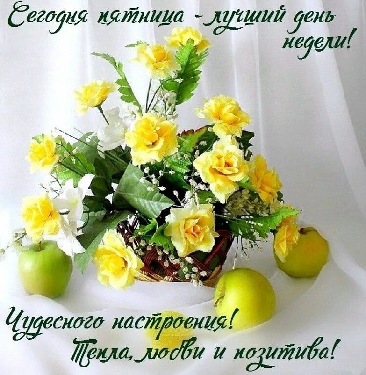 Доброе утро удачного дня. Чудесного дня и отличного настроения цветы. Доброго весеннего дня. Поздравления с новым днем утром. Открытки с добрым утром пятницы весенние красивые