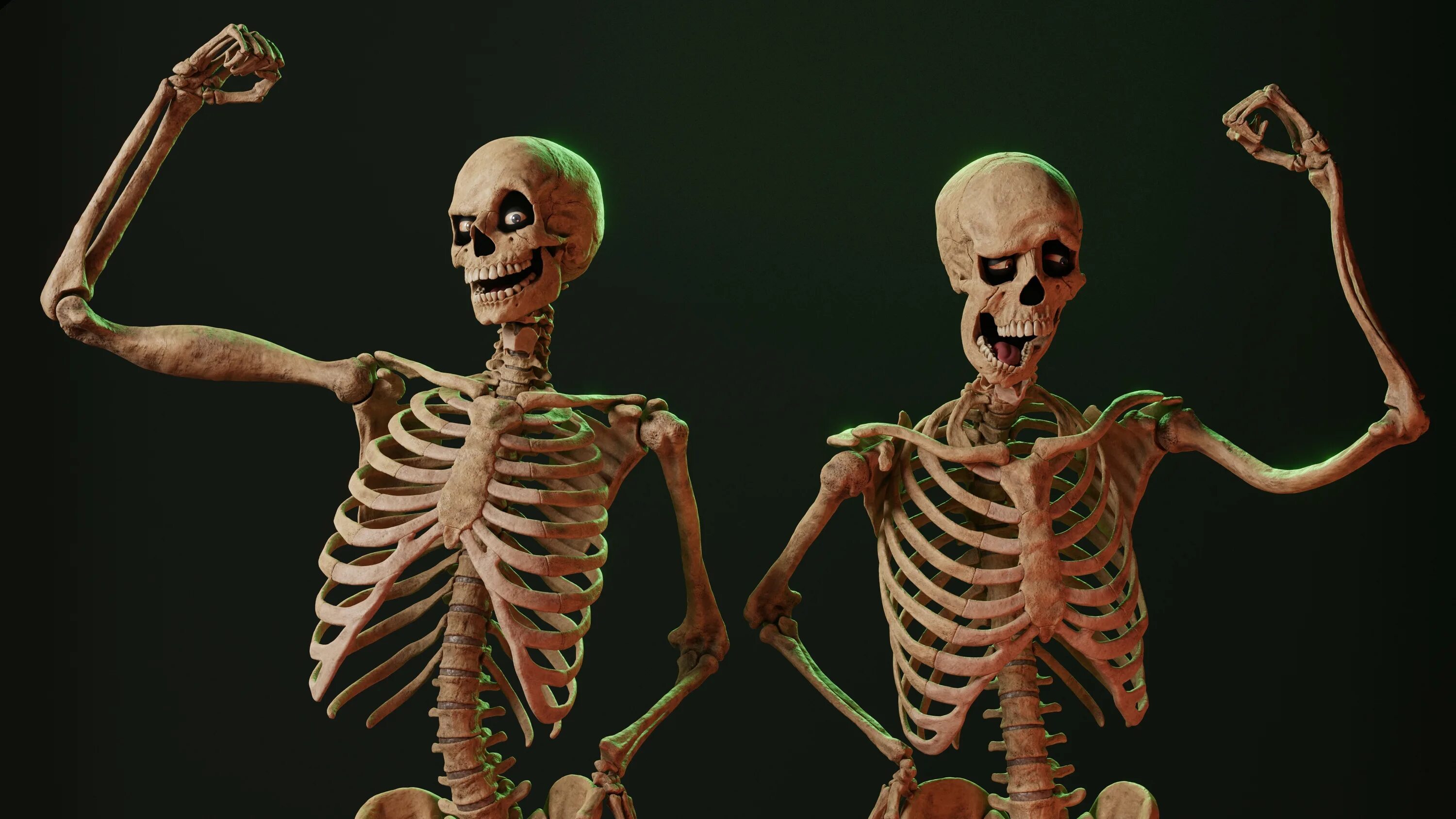 Скелет человека. Накаченный скелет. Титановый скелет.