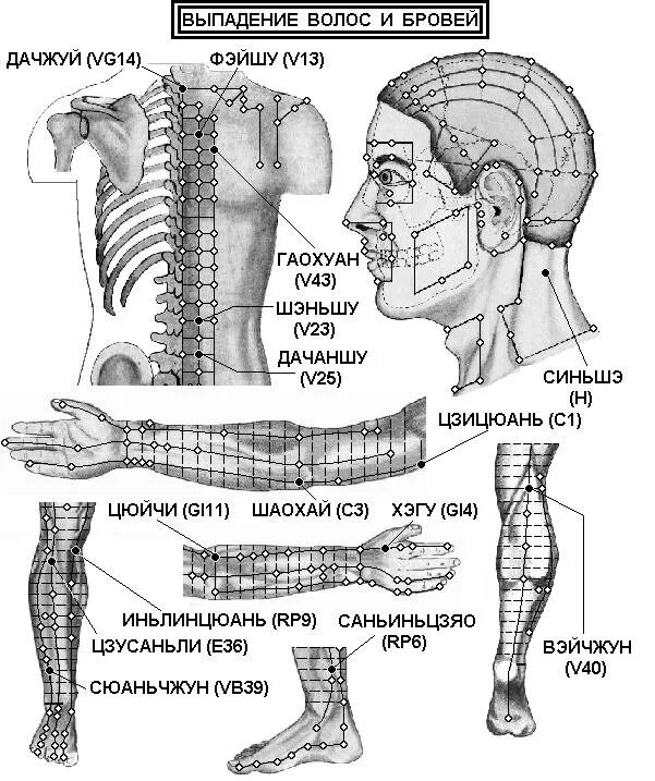 Атлас акупунктуры жледиа. Эледиа акупунктура атлас. Иглорефлексотерапия атлас точек. Точки акупунктуры при подагре. 13 точка человека