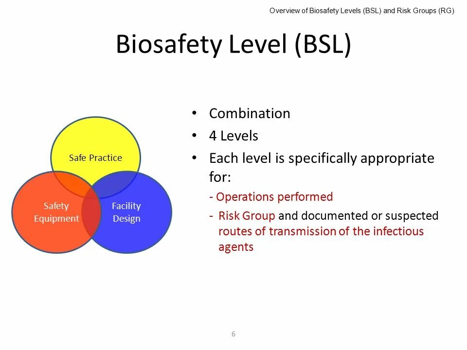 Biosafety презентация. Live Foundation Biosafety Level 4.