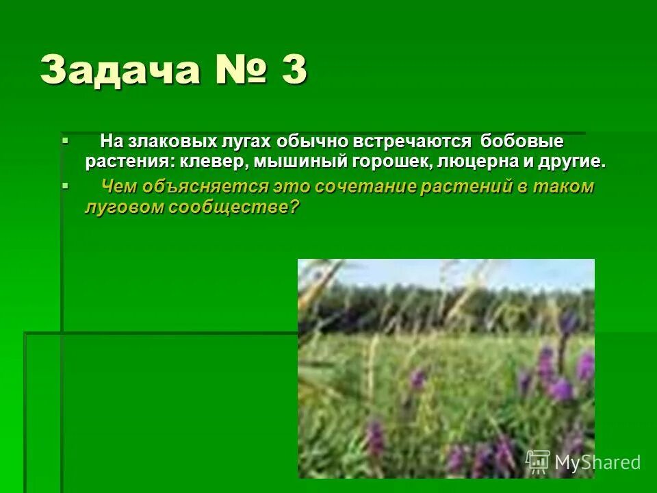 К агроценозам относятся