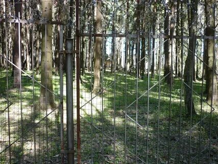 Лесные участки огораживают