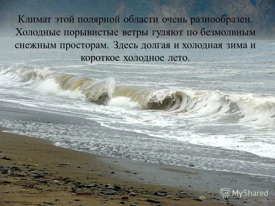 названия сильных ветров. сильный ветер название. холодный порывистый ветер 5 букв. климат кавказа бора. названия сильных ветров.