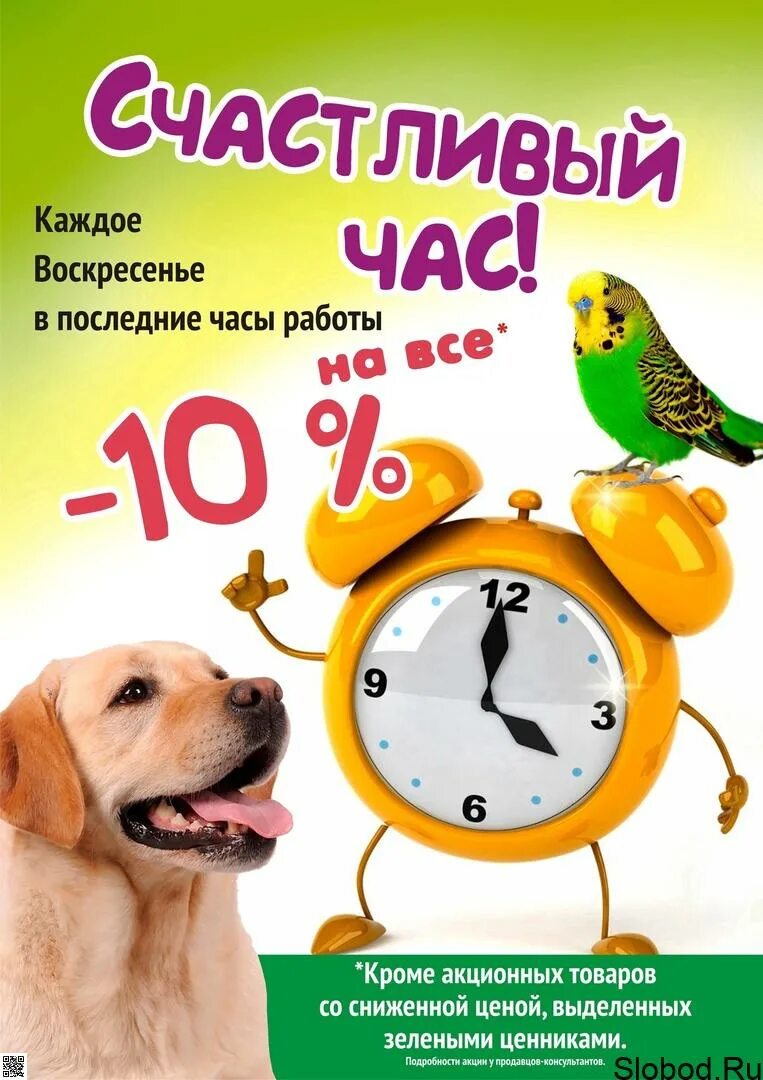Акции зоомагазинов. Скидки в зоомагазинах. Акция счастливые часы. Скидки на зоотовары. Акция счастливый час