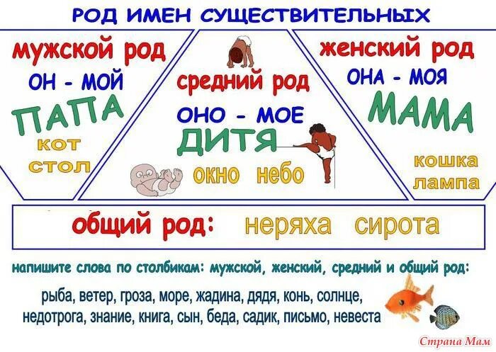 Кругом какой род. Род имен существительных. Родж имён существительных. Од имен существительных. Родименсущесвительных.