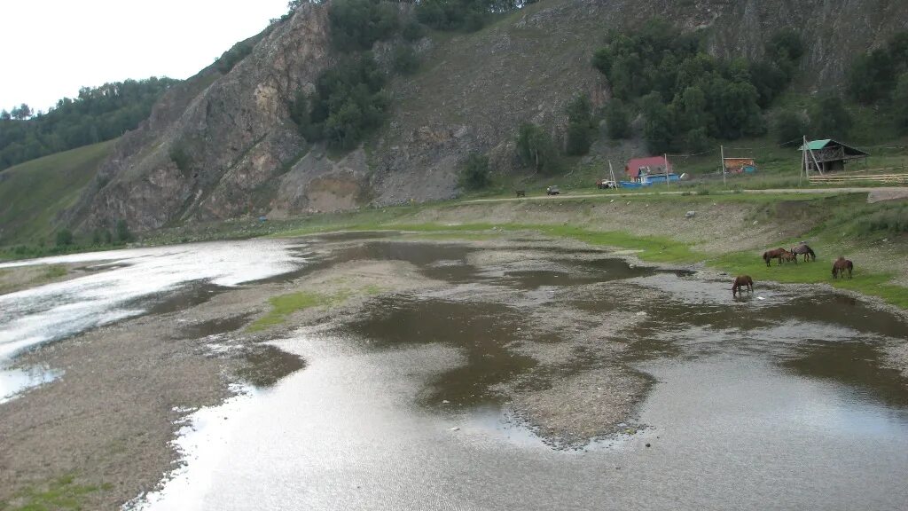 Уровень рек в реальном времени. Засуха в Ульяновске в 2010 году.