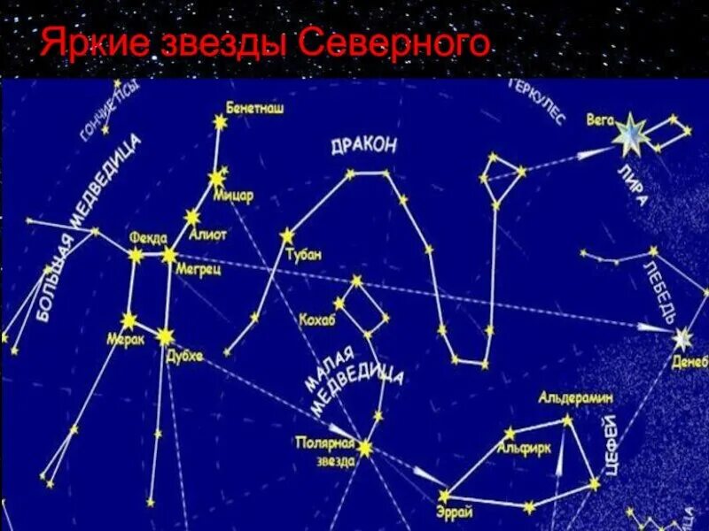 Созвездия летнего неба Северного полушария. Карта звездного неба с названиями созвездий большая Медведица. Самые яркие звезды Северного полушария. Самые яркие звезды на небе Северного полушария.