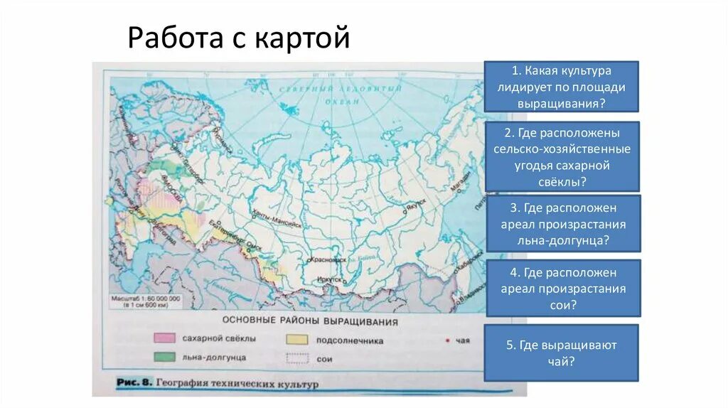 Районы выращивания на карте. Районы выращивания льна. Лён-долгунец районы выращивания. Карта выращивания льна. Где выращивают лен в России.