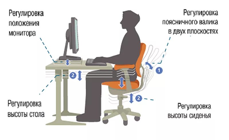 Правильная поза для работы за компьютером. Эргономика компьютерного рабочего места. Правильная посадка за компьютером. Правильная поза сидя за компьютером.