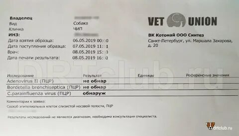 Пцр анализ собак