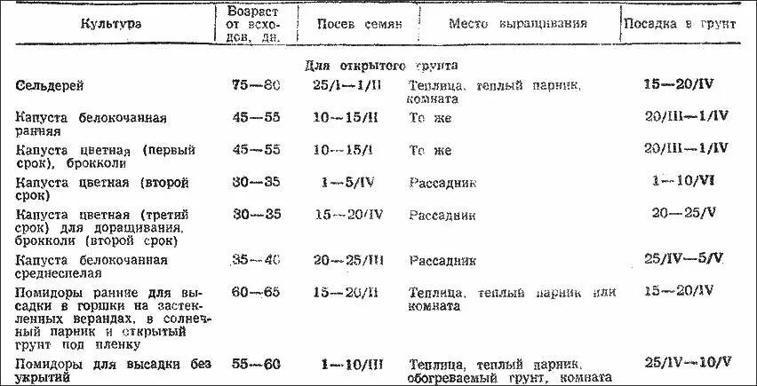 Таблица посадки семян в открытый грунт. Таблица рассады овощей для высадки в грунт. Сроки посадки овощей в открытый грунт. Таблица посева семян на рассаду в открытый грунт. Время высадки в открытый грунт