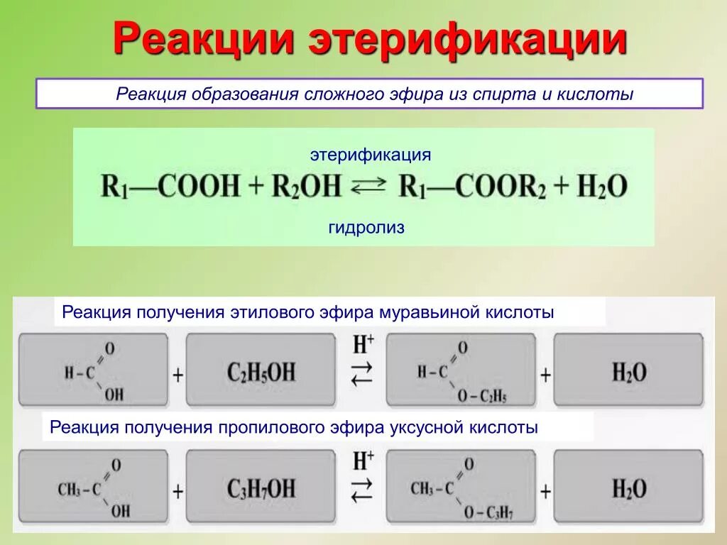 Уравнение реакции получения сложных эфиров реакцией этерификации. Реакция этерификации образование сложных эфиров. Реакция этерификации сложных эфиров. Реакция эритификации. Муравьиная кислота этиловый эфир муравьиной кислоты реакция