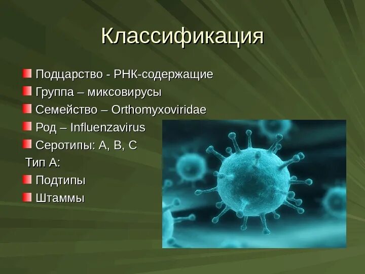 Возбудитель гриппа Orthomyxoviridae. РНК-содержащий вирус сем. Orthomyxoviridae. Возбудители гриппа ортомиксовирусы. Ортомиксовирусы классификация.