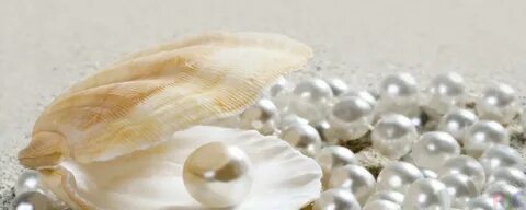 Pearl sea shop