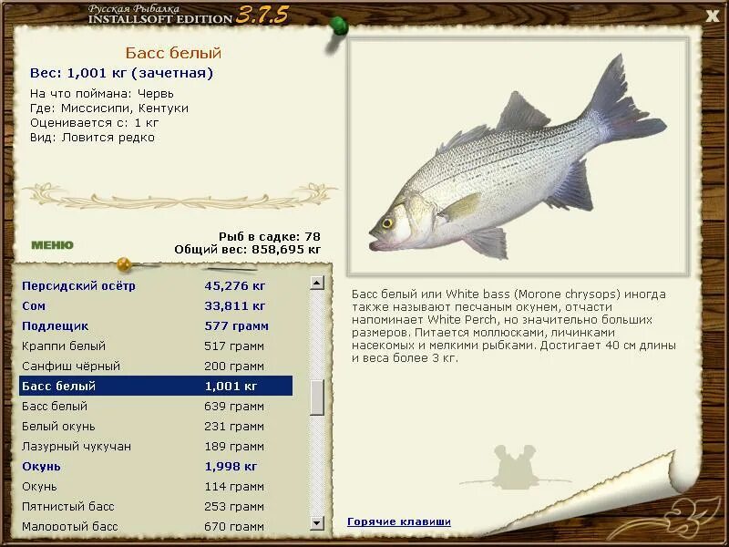 фишинг барон игра. реальная рыбалка слово из 6 букв. реальная рыбалка слово из 6 букв. реальная рыбалка слово из 6 букв. игра реальная рыбалка.