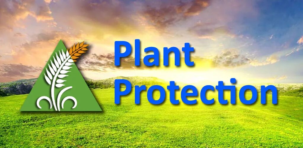 Plant Protection products. Innovation Plant Protection. Plant Protection Inovation Technology. Plant protection