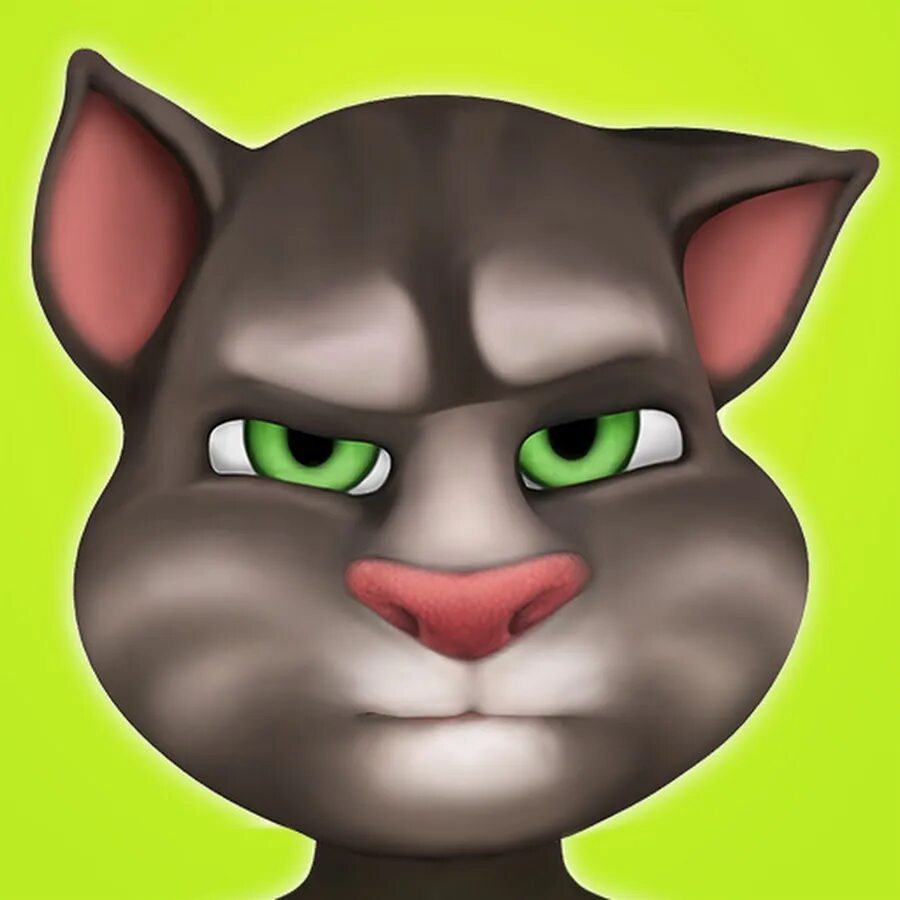 Talking tom 7. Talking Tom. Talking Tom игры. Talking Tom Cat. Джинджер outfit7.