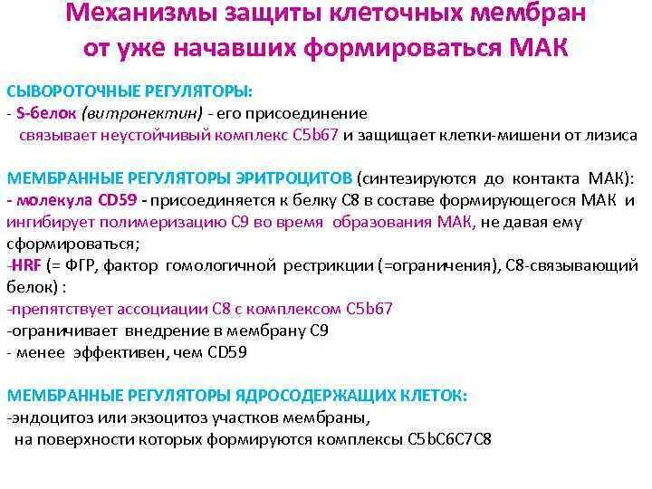 Механизмы ускользания от иммунной защиты. Механизме защите клетки. Клетки противоопухолевого иммунитета. Антиоксидантная система клетки. Механизме защите клетки.